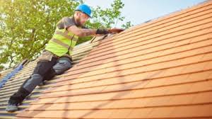 Best Skylight Installation and Repair  in Rice Lake, WI